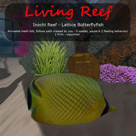 Inochi Reef : Mesh Fish - Lattice Butterflyfish