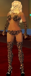 Leopard Print Bikini & More