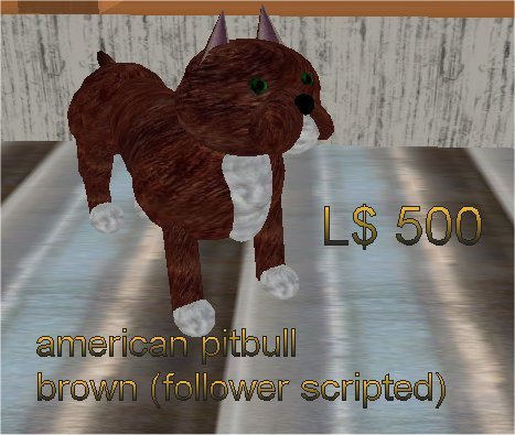 american Pitbull brown