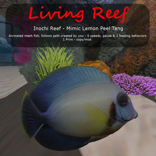 Inochi Reef : Mesh Fish - 