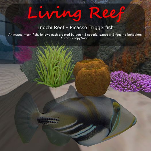 Inochi Reef : Mesh Fish - Picasso Triggerfish