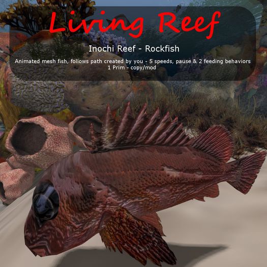 Inochi Reef : Mesh Fish - 