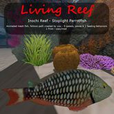 Inochi Reef : Mesh Fish - Stoplight Parrotfish