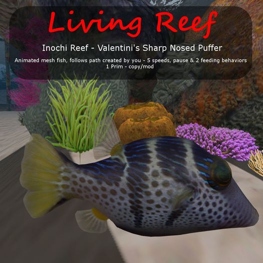 Inochi Reef : Mesh Fish - Valentini's Sharp Nosed Puffer