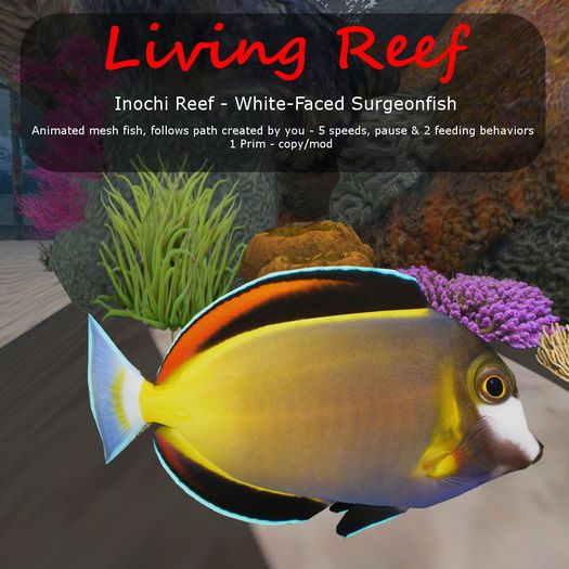 Inochi Reef : Mesh Fish - 