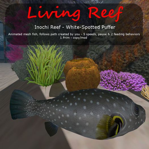 Inochi Reef : Mesh Fish - 