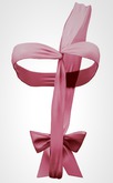 Kaithleen's Wrapped Gift - Pink