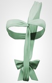 Kaithleen's Wrapped Gift - Green
