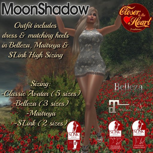 MoonShadow Dress Outfit**