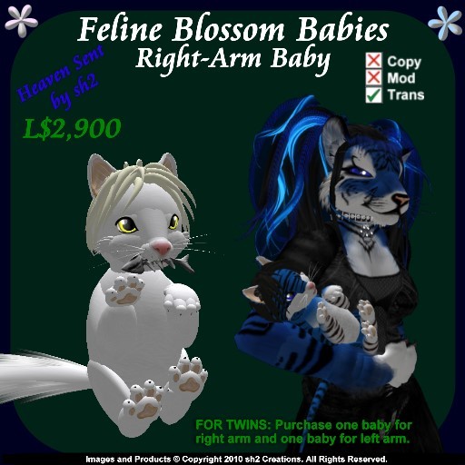 sh2 Feline Blossom Baby Right v2.0