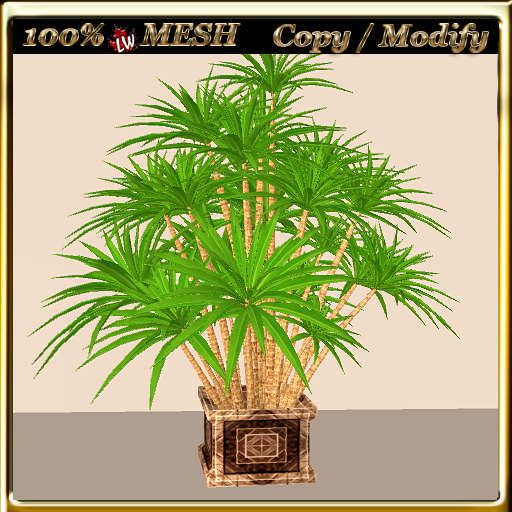 LW_ Indoor Plant 1