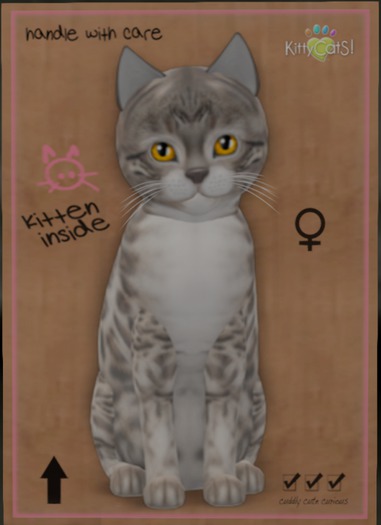 KittyCatS Box - Bengal - Snow