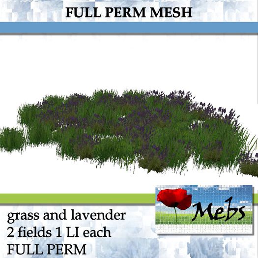grass and lavender