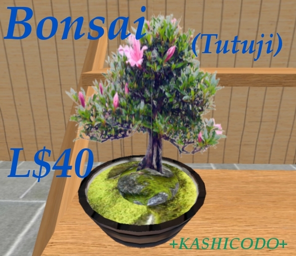 Bonsai (Tutuji)