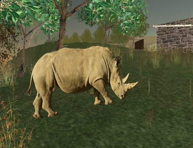 Rhinocerous