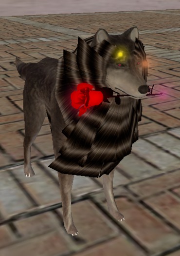WOLF