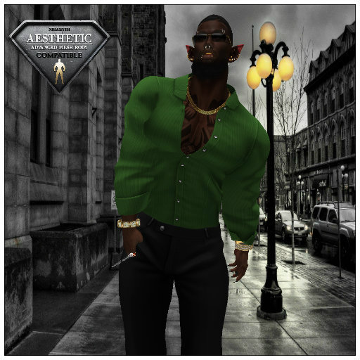 *B.O.C* AESTHETIC TUCKED IN GREEN