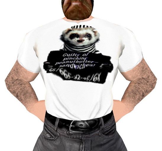 jail-ferret english