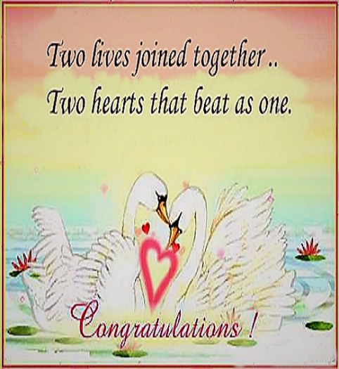 Wedding Card Congratulations 