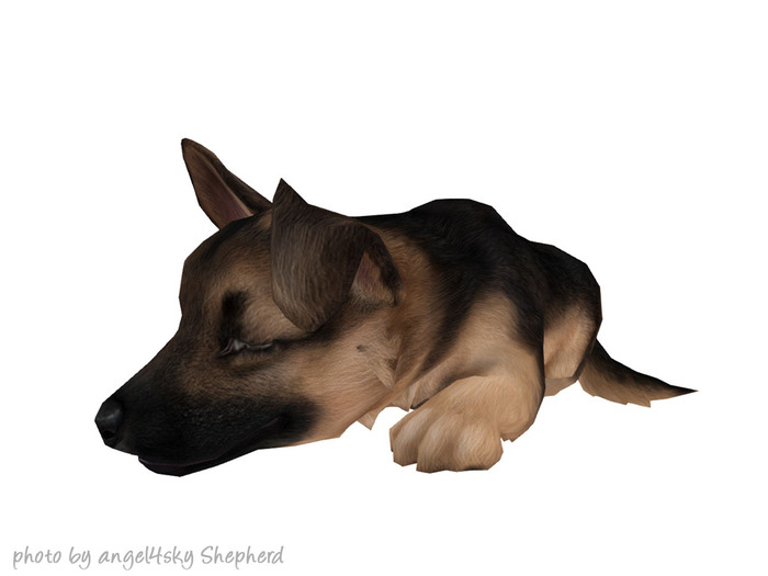 JIAN Scruffy Shepherds 13. Sleepy Pup [Gacha]