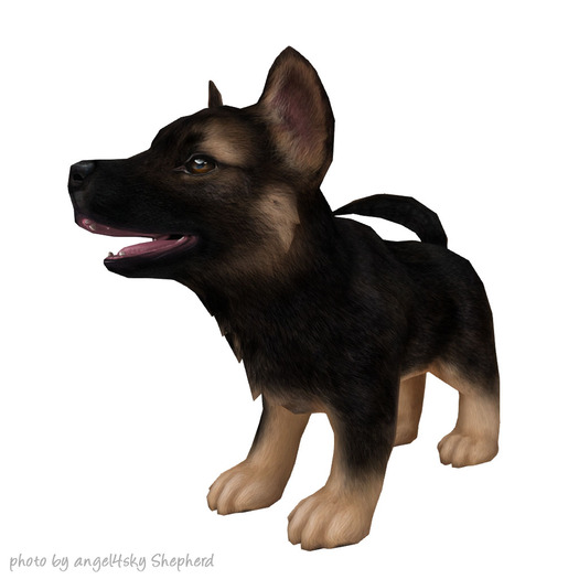 JIAN Scruffy Shepherds 9. Wander Pup Melanistic [Gacha]