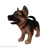 JIAN Scruffy Shepherds 8. Wander Pup Red Black [Gacha]