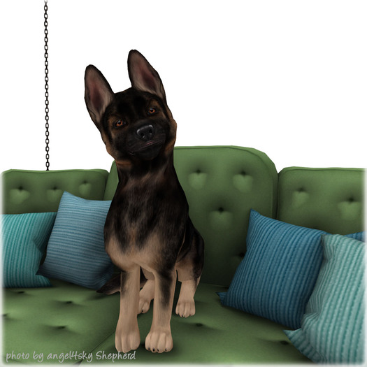 JIAN Scruffy Shepherds 1. Hanging Couch Buddy RARE [Gacha]