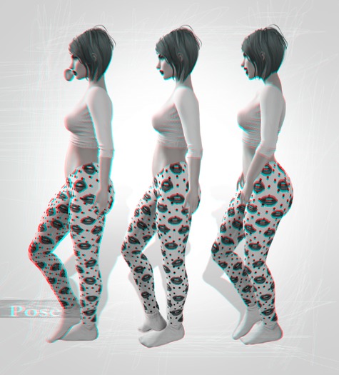 Sapa - 3 pose