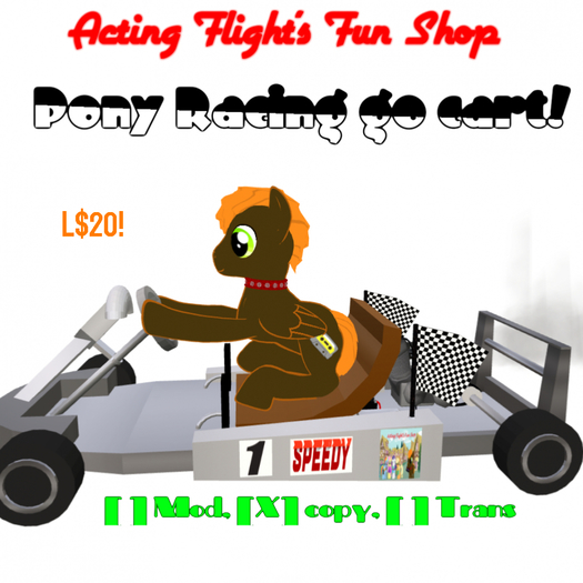 Acting Flight's Pony Racing go cart