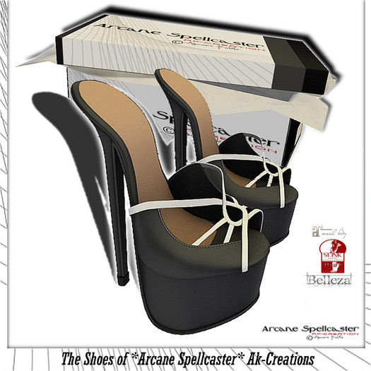 Box black/white Rene' *Arcane Spellcaster* Ak-Creations