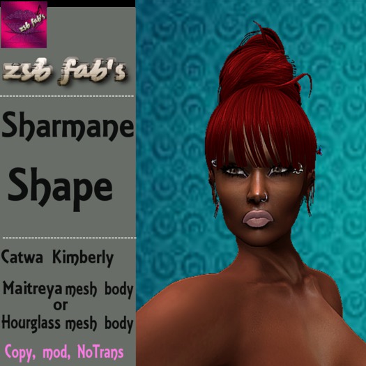 --ZSB SHOPPING BAG-- Sharmane SHAPE[WEAR]