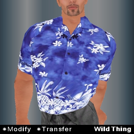 Hawaiian Shirt