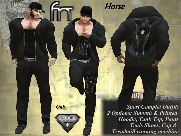 [FN] AE Sport Complet Outfit Black - Horse  - Suit Bag WEAR