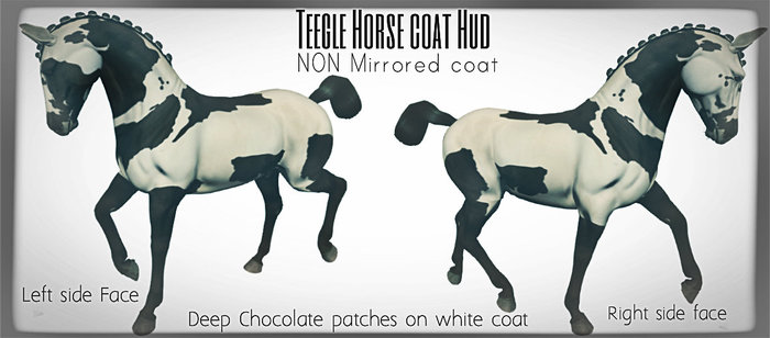 HDC Coat- White Pinto