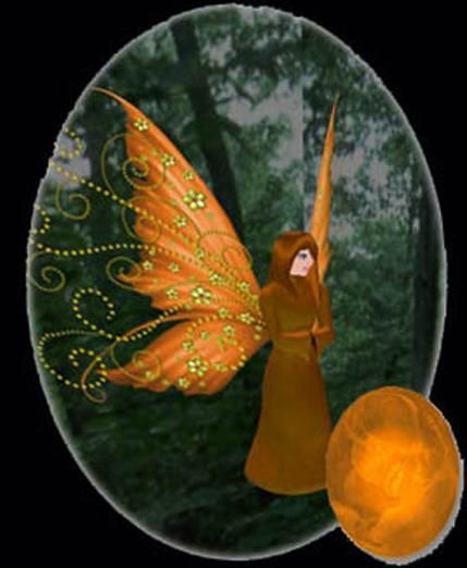 WW_Egg Common Orange Fairy