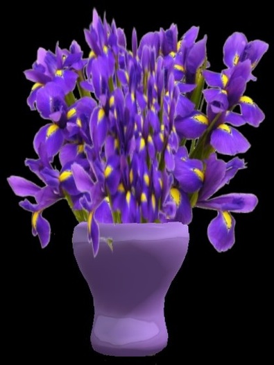 L&J Flowers Purple Irises