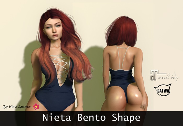 Nieta bento shape