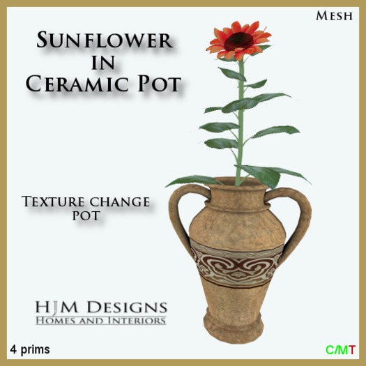 Sunflower in Ceramic Pot Boxed