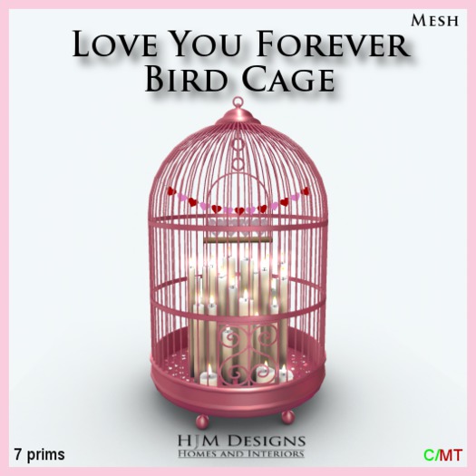 Love You Forever Bird Cage