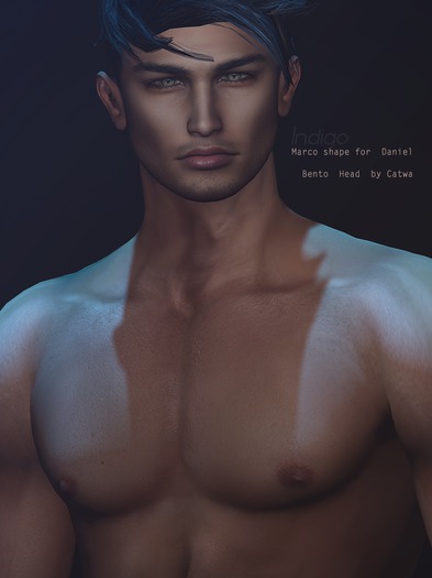[INDIGO] Marco shape for Daniel Bento