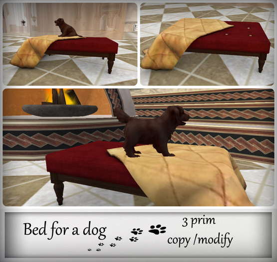 Bed for a dog