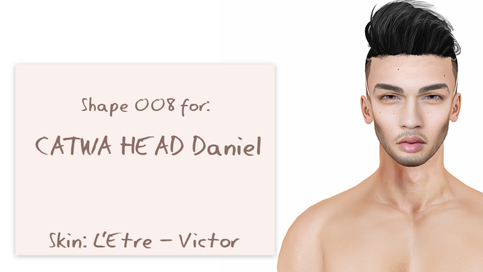 Shape 008 (For CATWA HEAD Daniel)