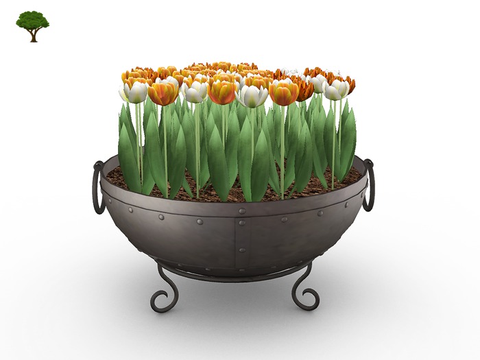 Spring Planter  Tulips - OW