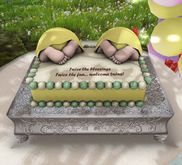Aphrodite Welcome twins Baby shower cake