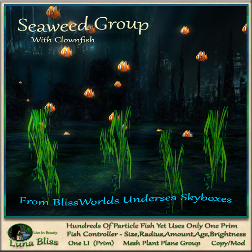 Seaweed Group With Clownfish (boxed)