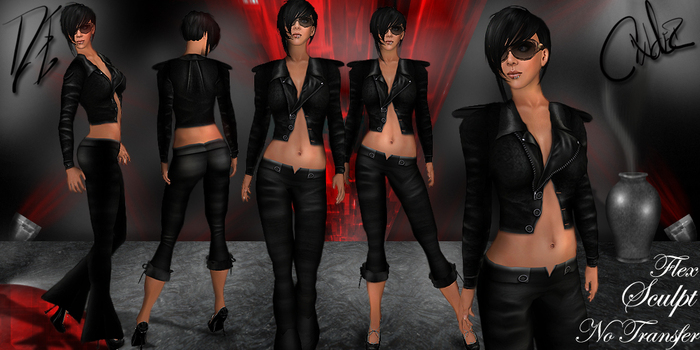 *DE Designs* Cinder