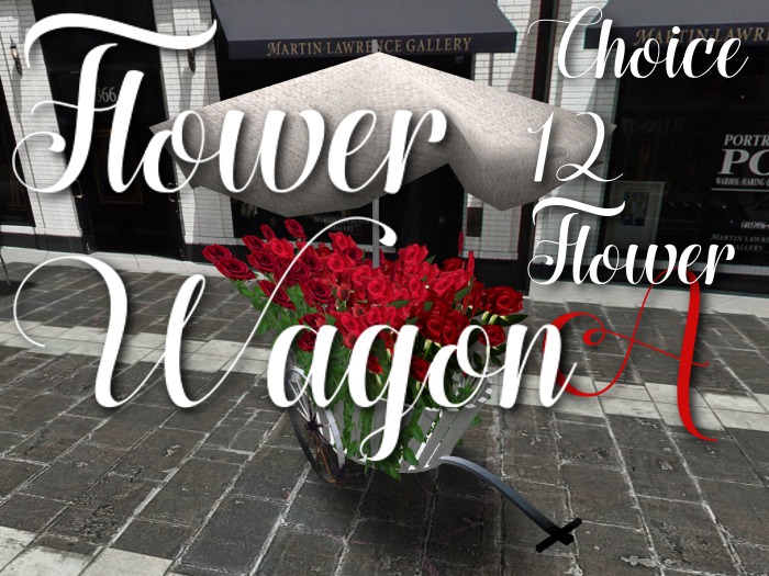 p-a-b flower wagon A