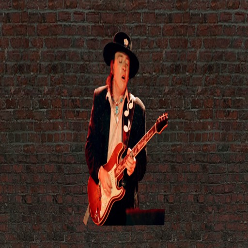 Stevie Ray Vaughan Wall Art