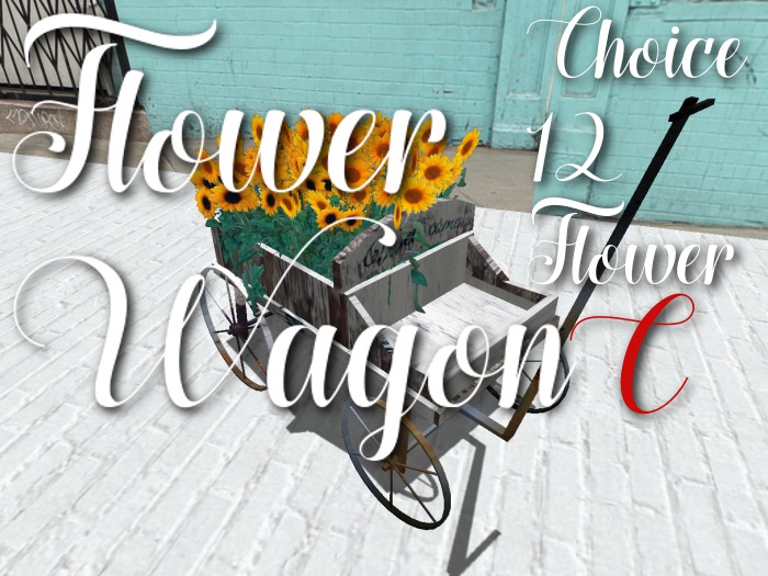 p-a-b flower wagon C