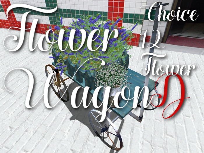 p-a-b flower wagon D